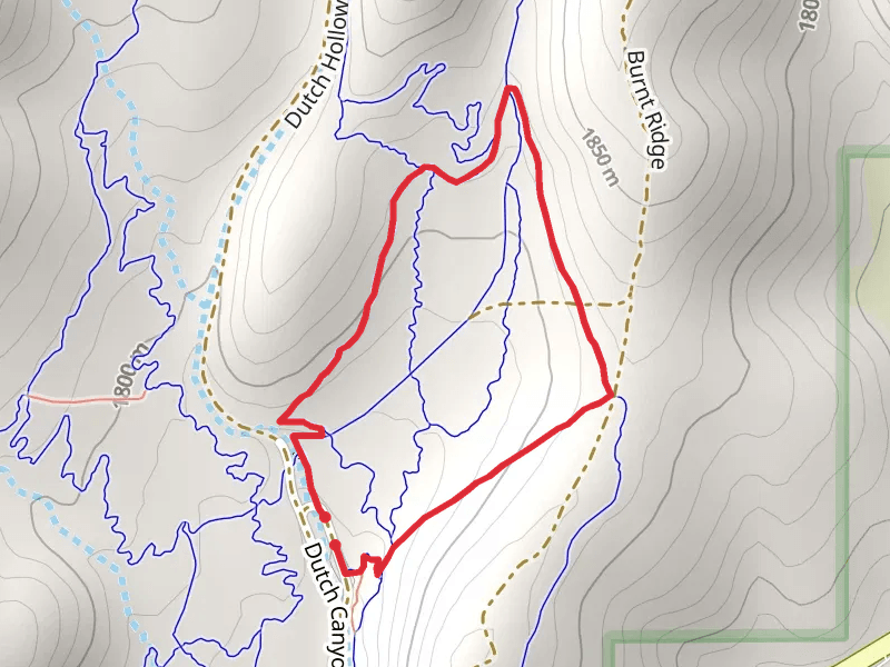 Cottontail Loop
