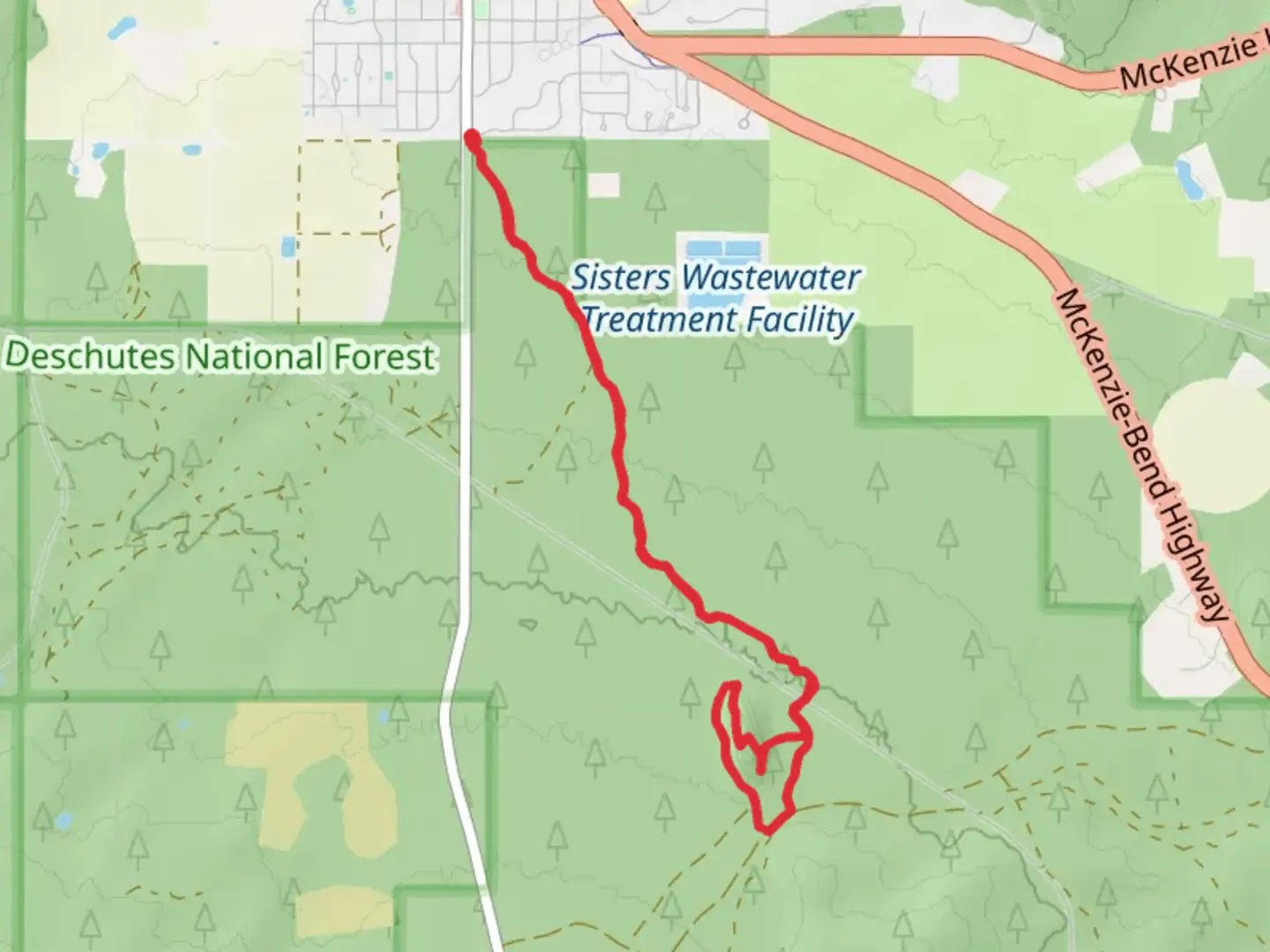 An image depicting the trail East Tyee Drive Loop - South and its surrounding area.