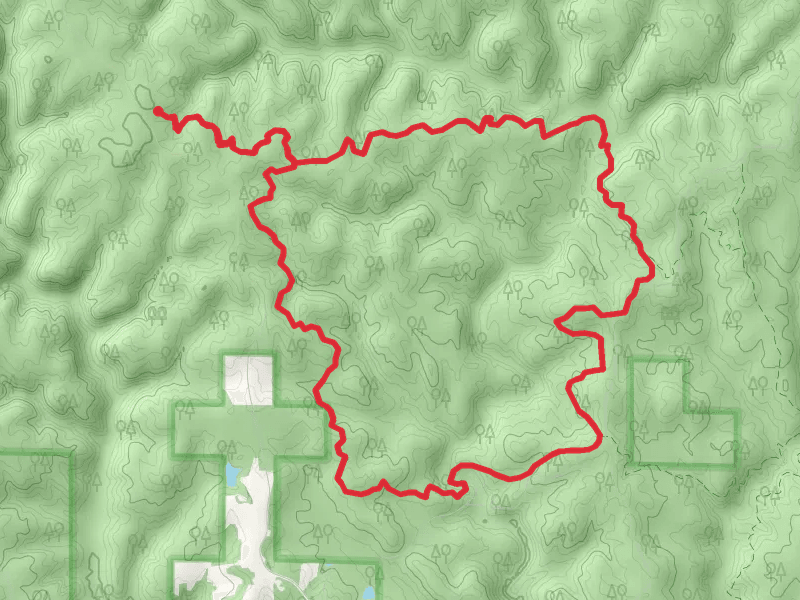 Pine Torch Horse Loop