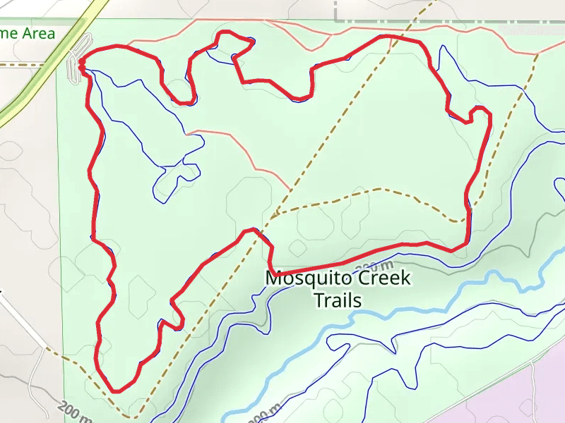 The Faz Track Loop