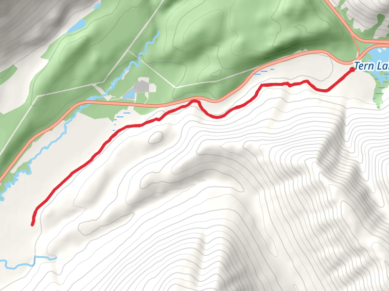 Daves Creek via Old Sterling Spur