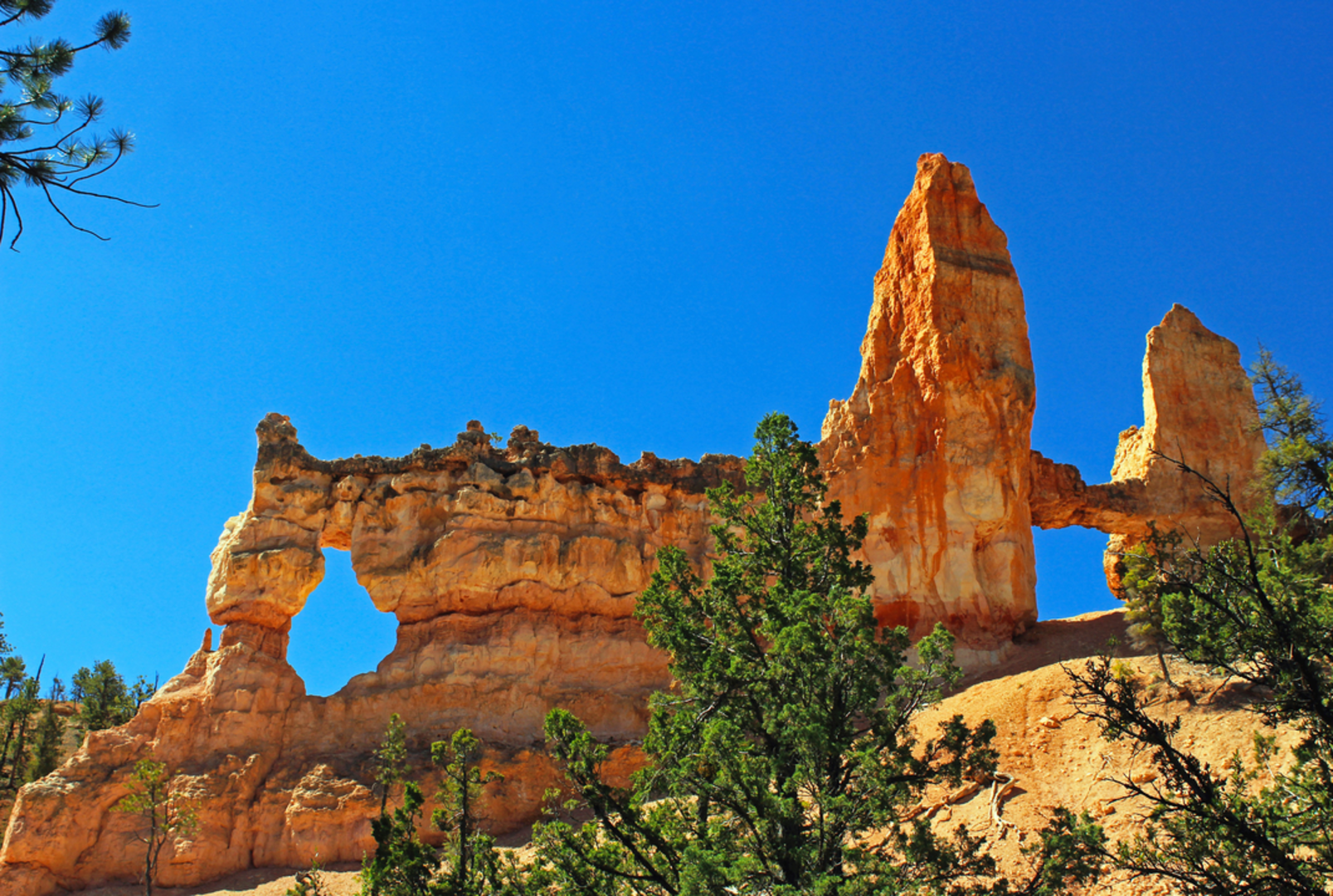 An image depicting the trail Tower bridge Trail via Fairyland Loop and Rim Trail and its surrounding area.