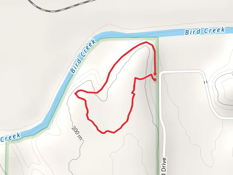 Loop along Bird Creek
