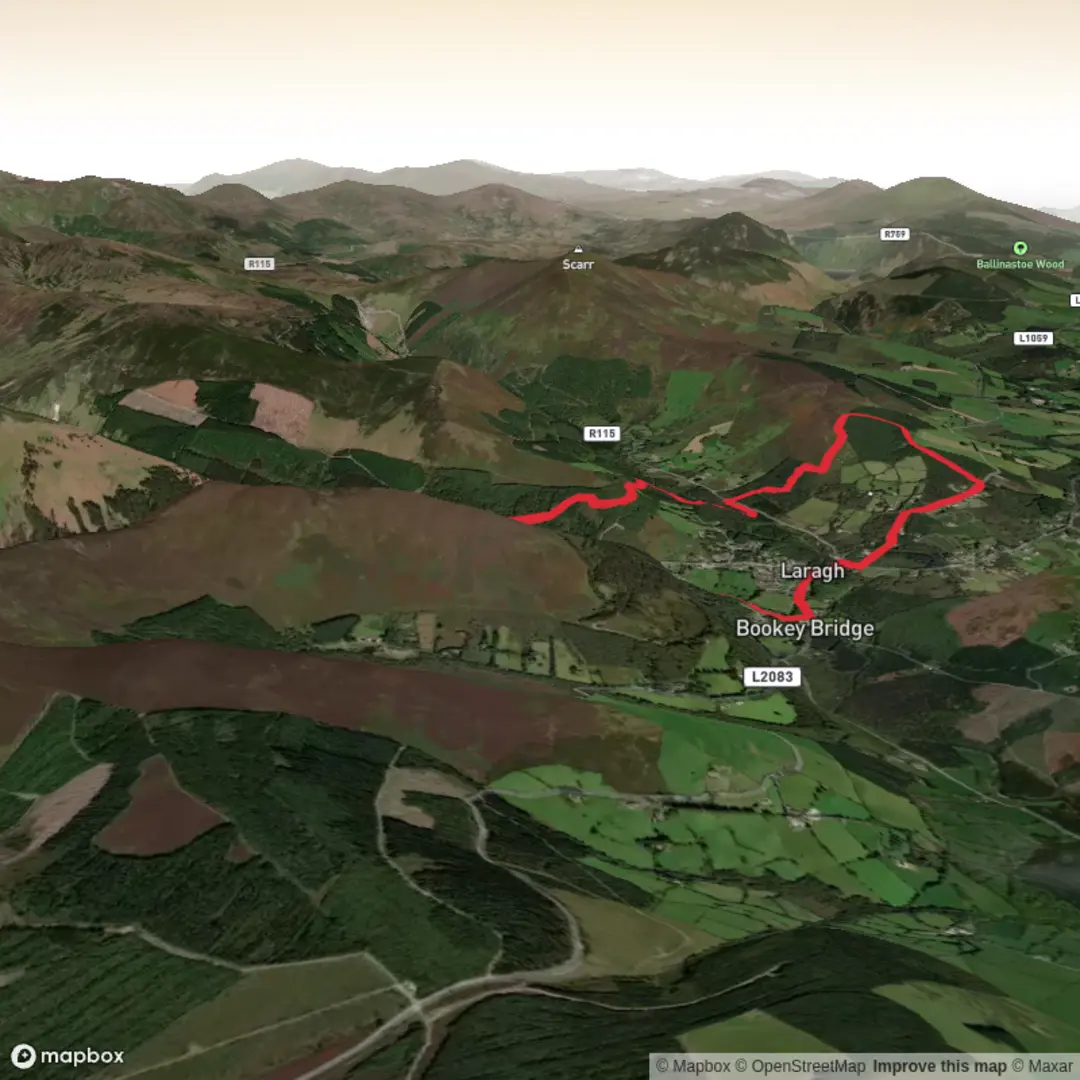 An image depicting the trail Wicklow way Laragh and its surrounding area.