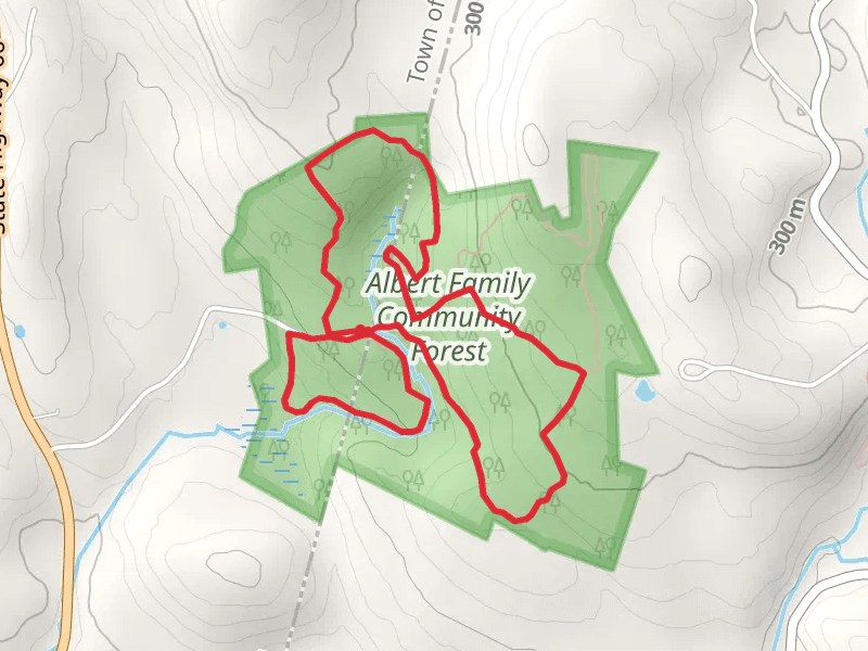 Hayes Road Loop