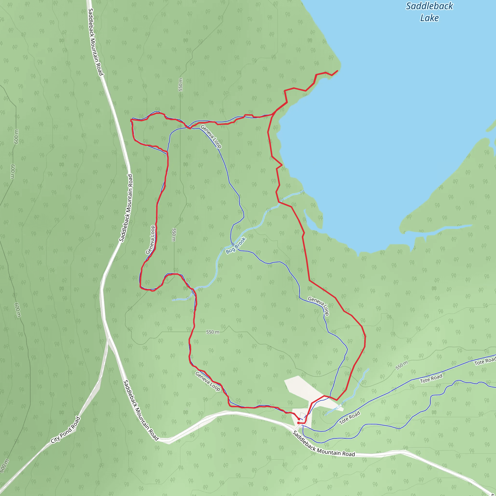 Saddleback Lake and South Branch Dead River Loop mobile static map