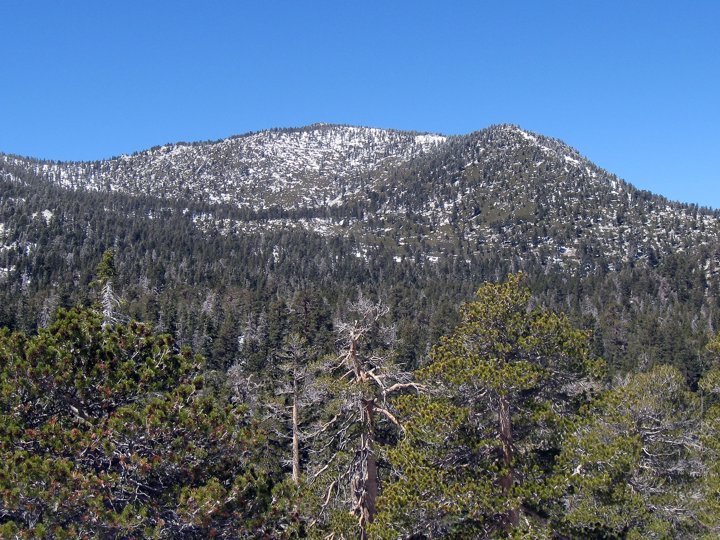 An image depicting the trail Skyline and Round Valley Trail - Palm Springs and its surrounding area.