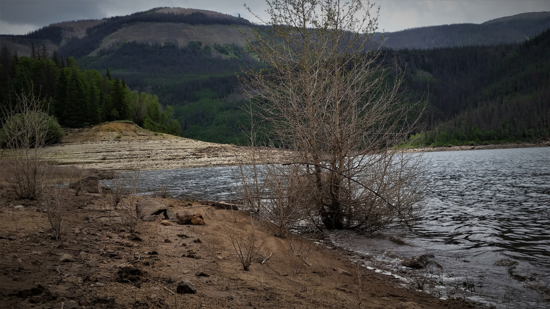 An image depicting the trail Rincon La Osa Trail via Weminuche Trail and Pine River Trail and its surrounding area.