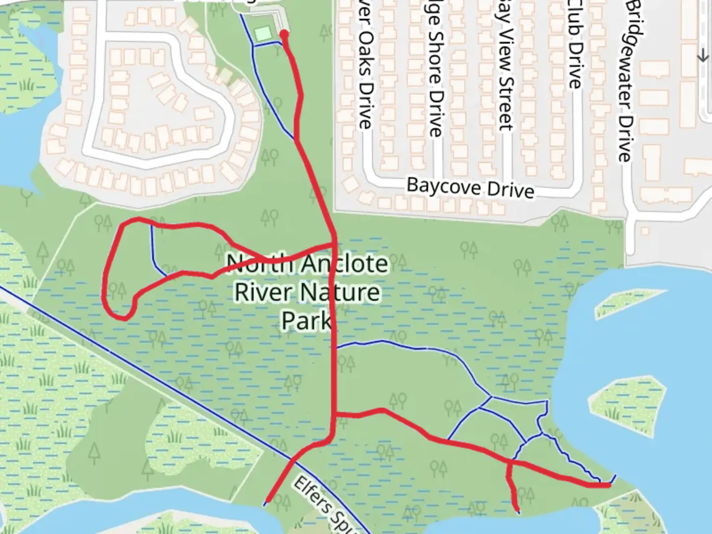 An image depicting the trail North Anclote River Nature Park and its surrounding area.