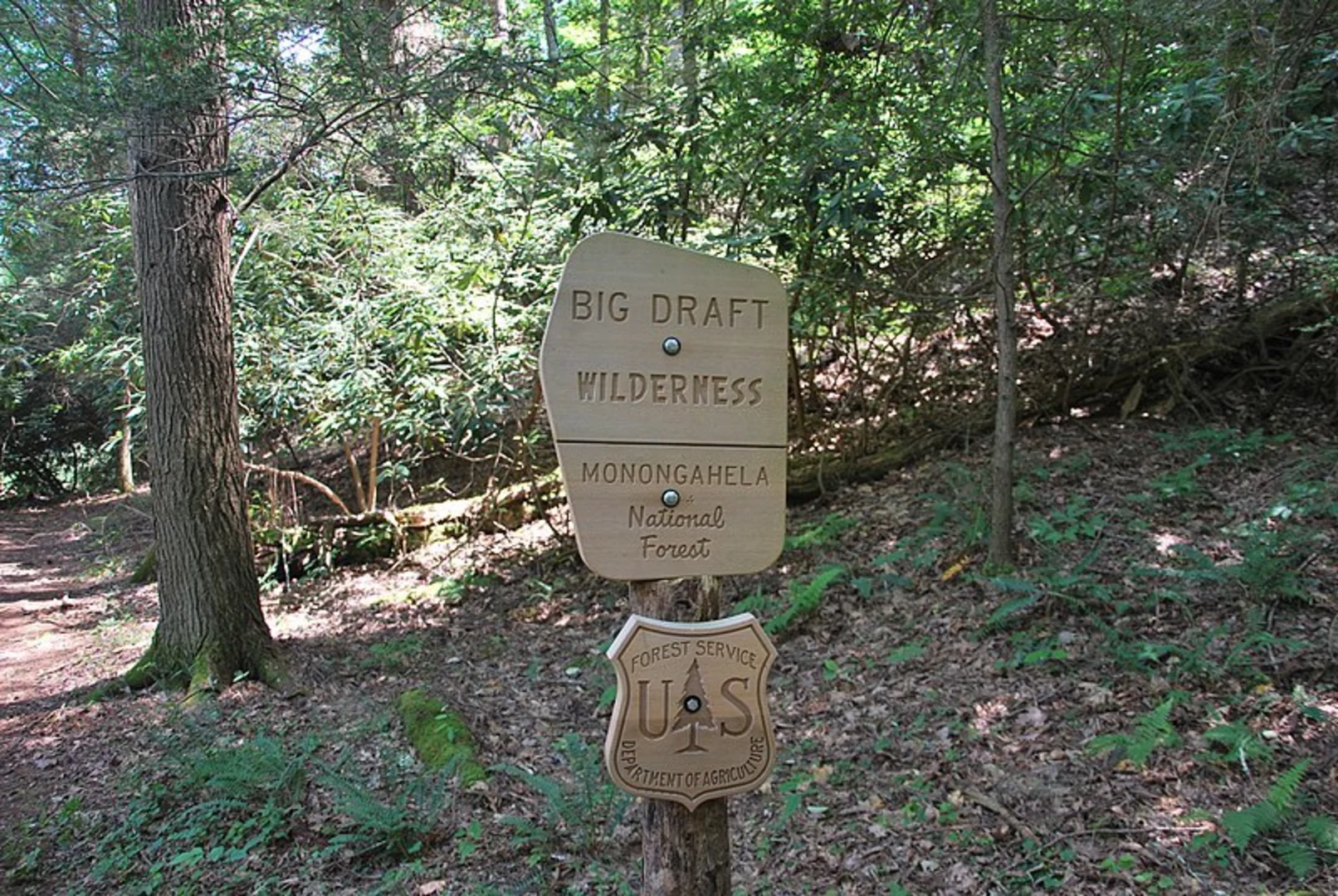 An image depicting the trail South Boundary Trail and its surrounding area.