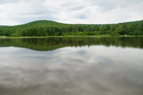 Penny Run Trail