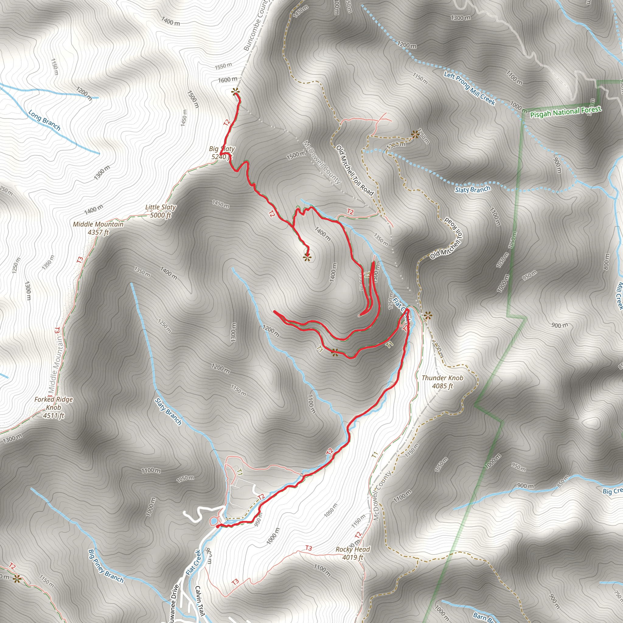 Walker's Knob and Graybeard Trail mobile static map