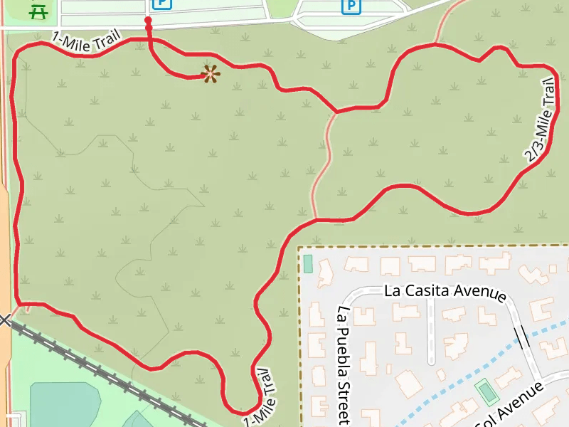 Dune Overlook Path and 1 Mile Trail Loop