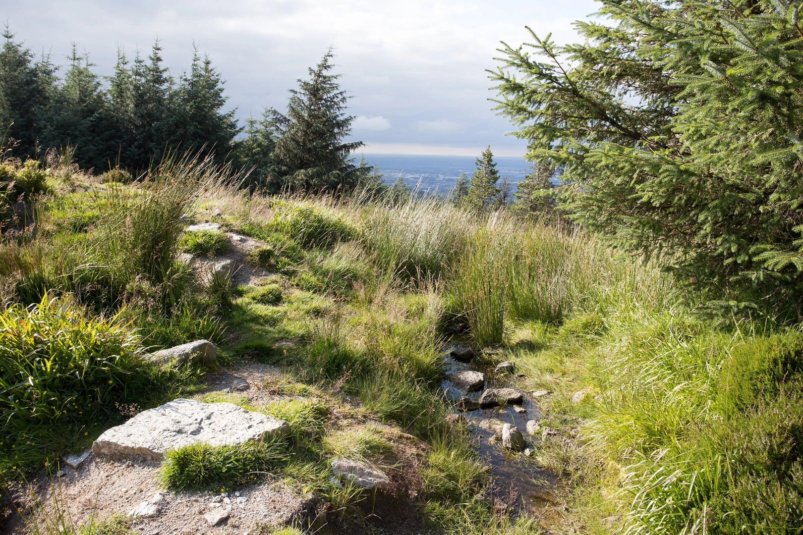 An image depicting the trail Dublin Mountains Loop Trail and its surrounding area.