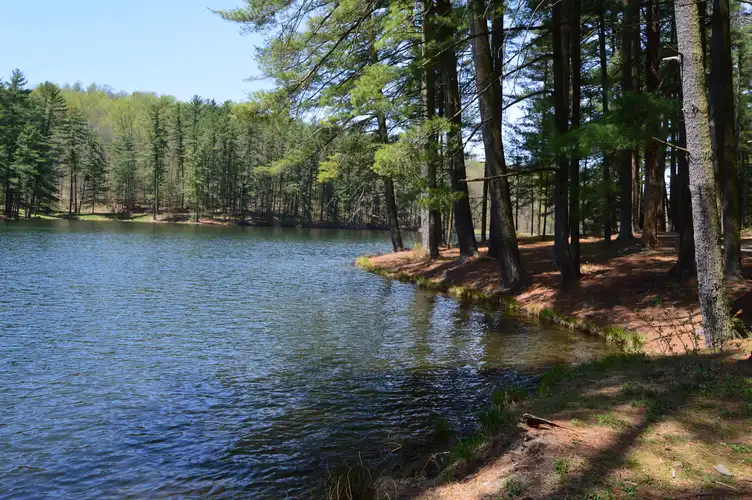 Birdsboro Reservoir Loop