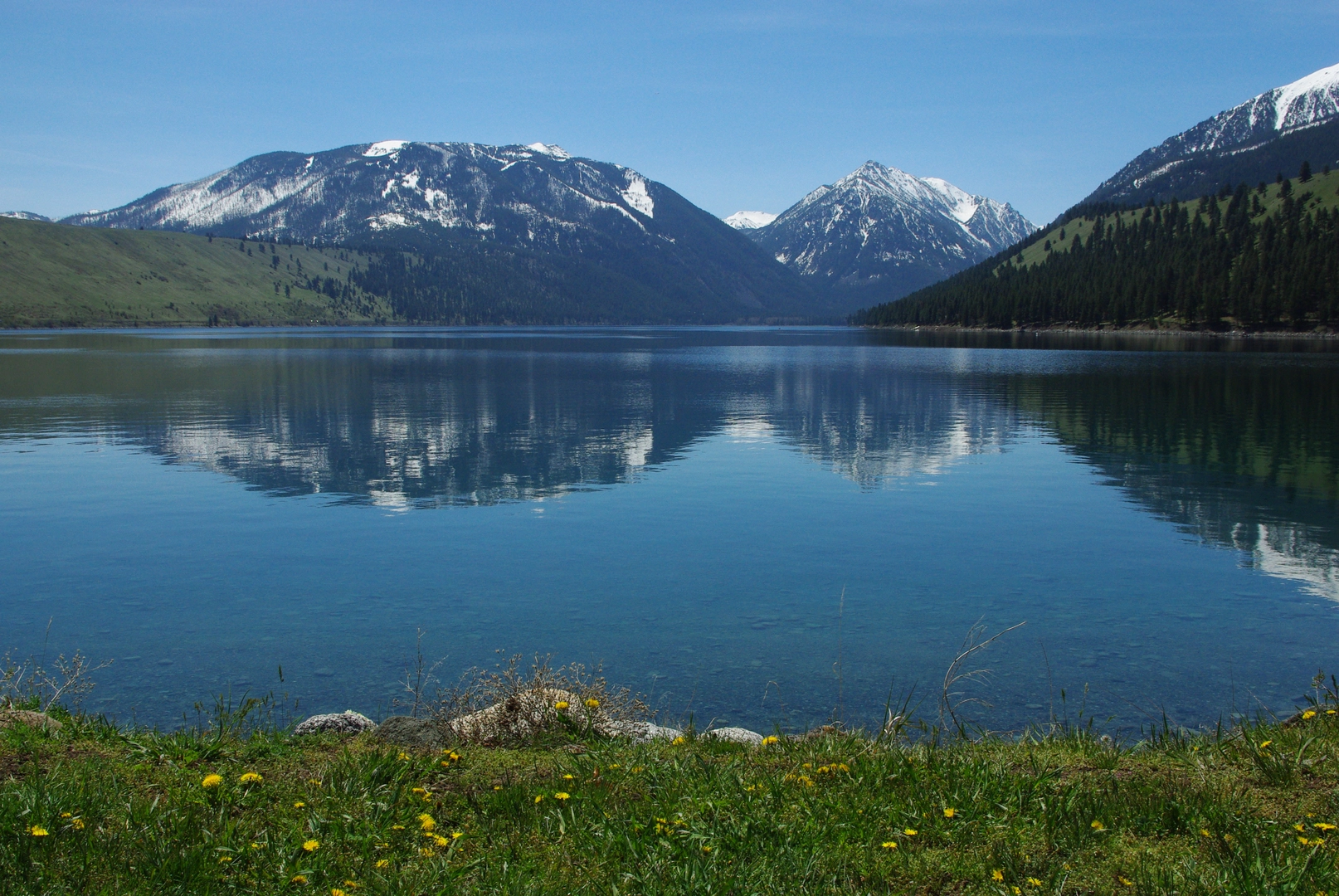 An image depicting the trail Wallowa River Loop and its surrounding area.