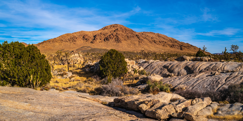 Mid Hills Loop Trail