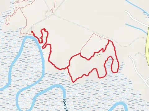 Dogwood Loop Trail