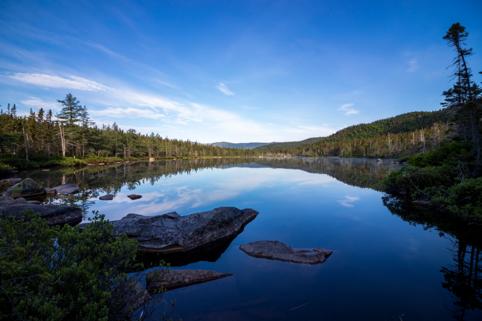 An image depicting the trail Willey Range Trail via Ethan Pond Trail Out and Back and its surrounding area.