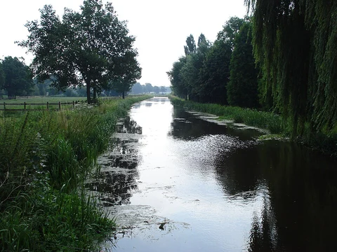 Bedafsche Uitzichttoren and Vorstenbosch Loop