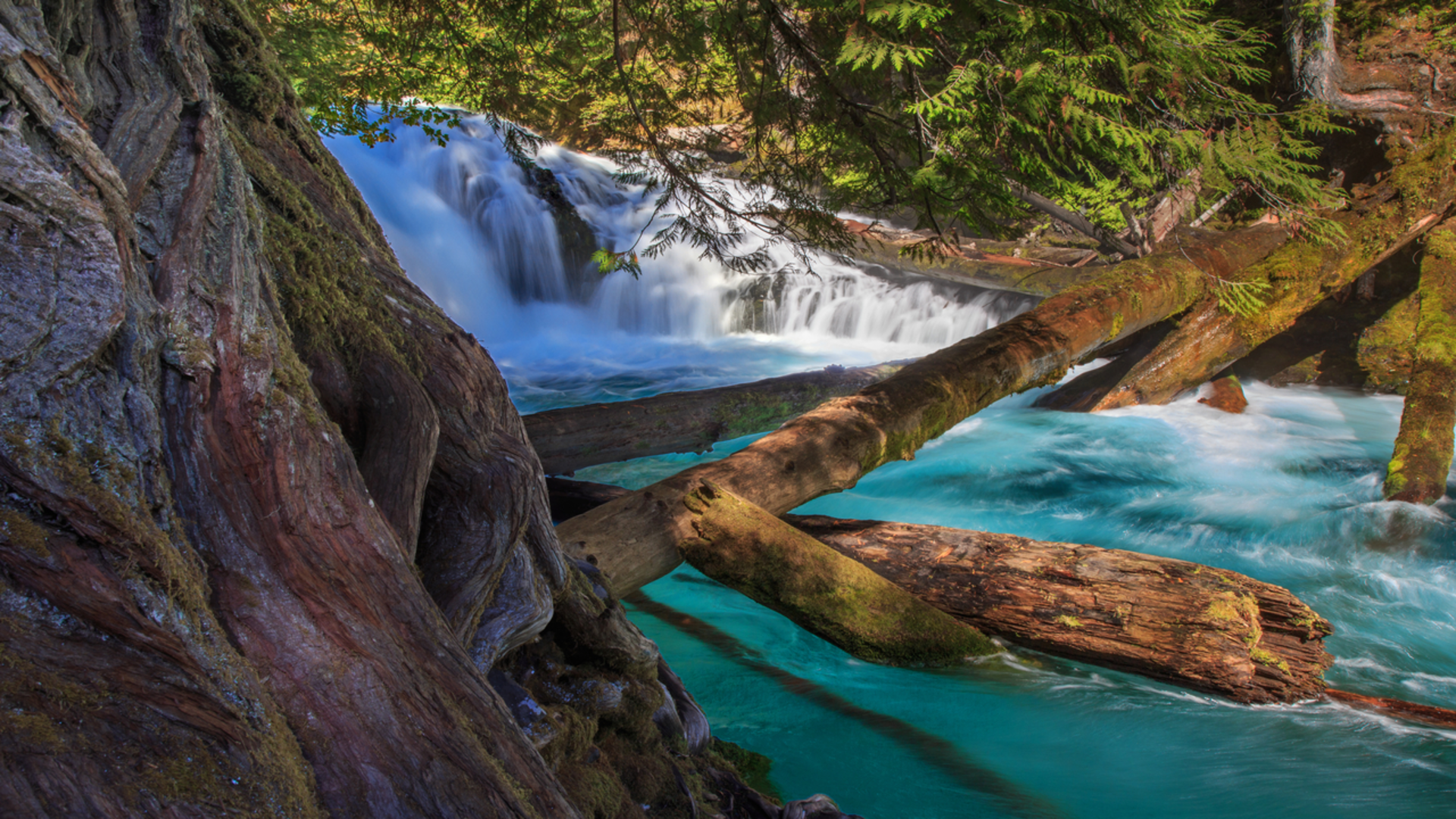 An image depicting the trail Sahalie Falls via Umbrella Falls Trail and its surrounding area.
