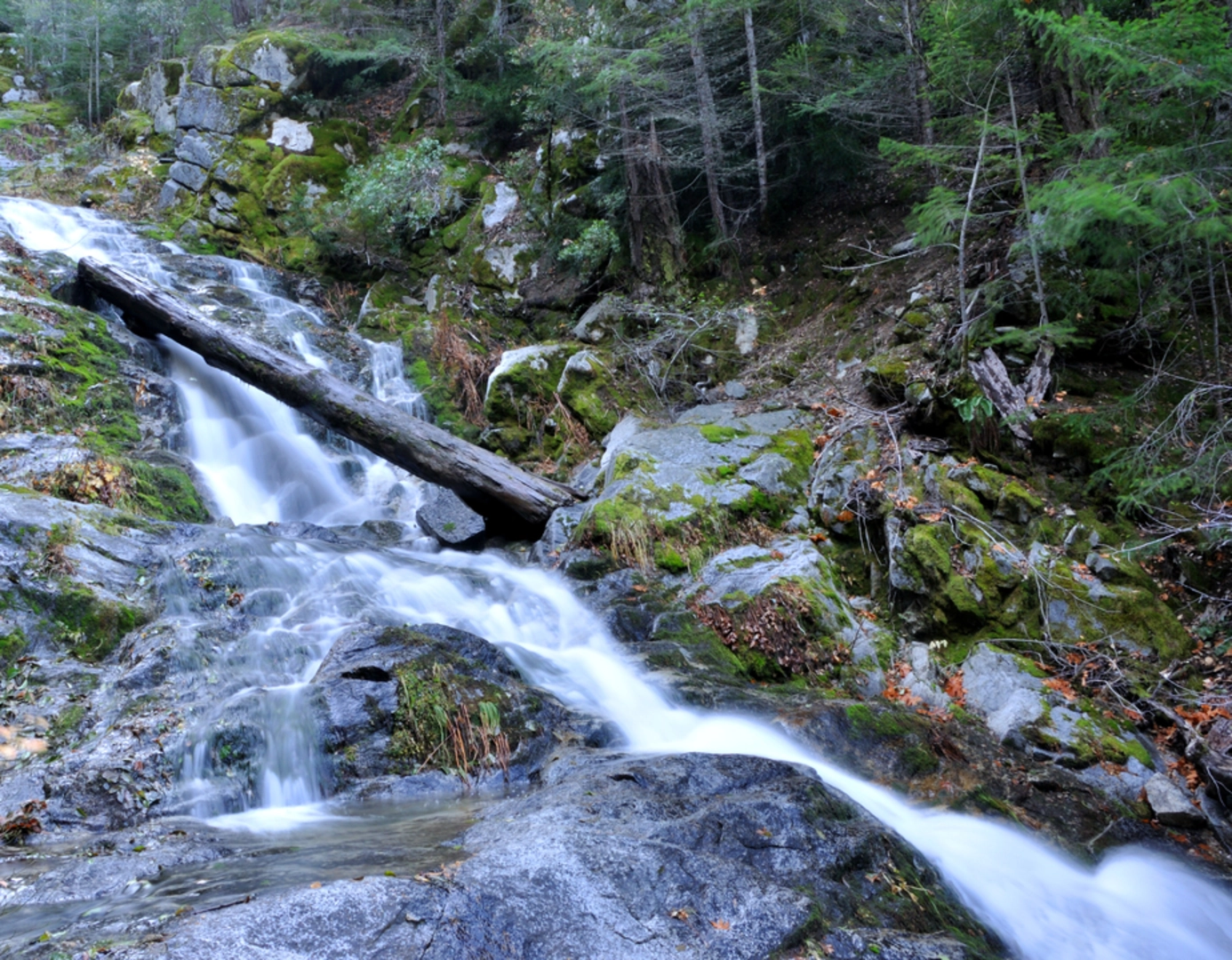 An image depicting the trail Whiskeytown Falls Trail and its surrounding area.