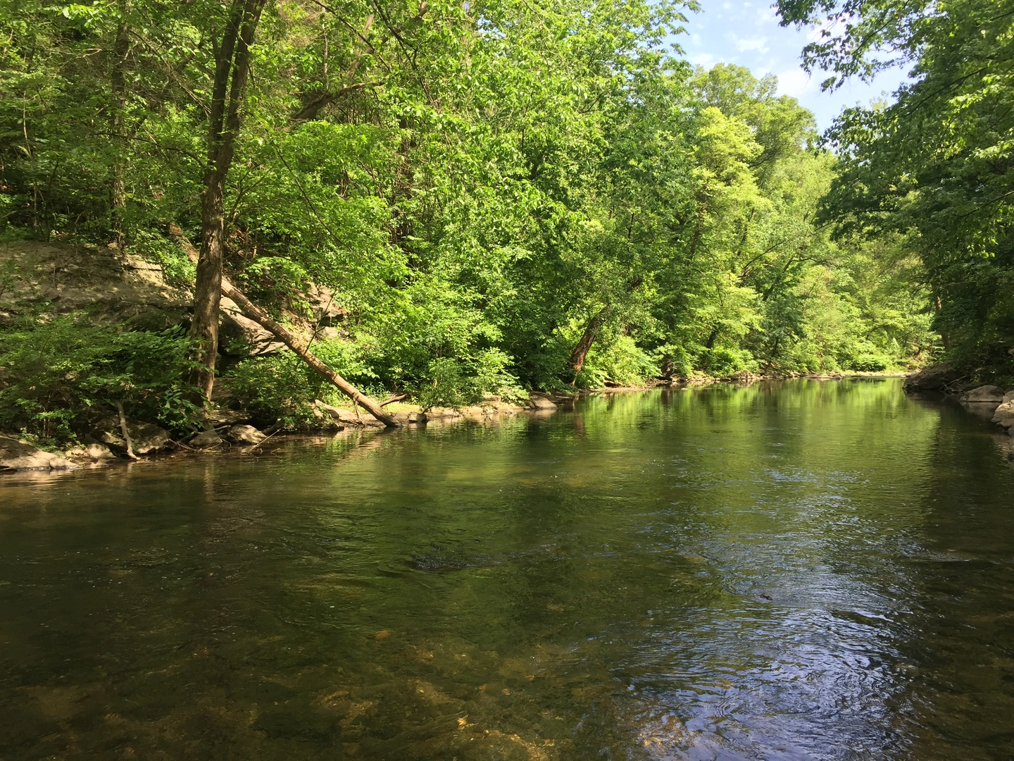 An image depicting the trail Wissahickon Creek Loop from Valley Green Road and its surrounding area.