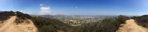 Rosewood Trail