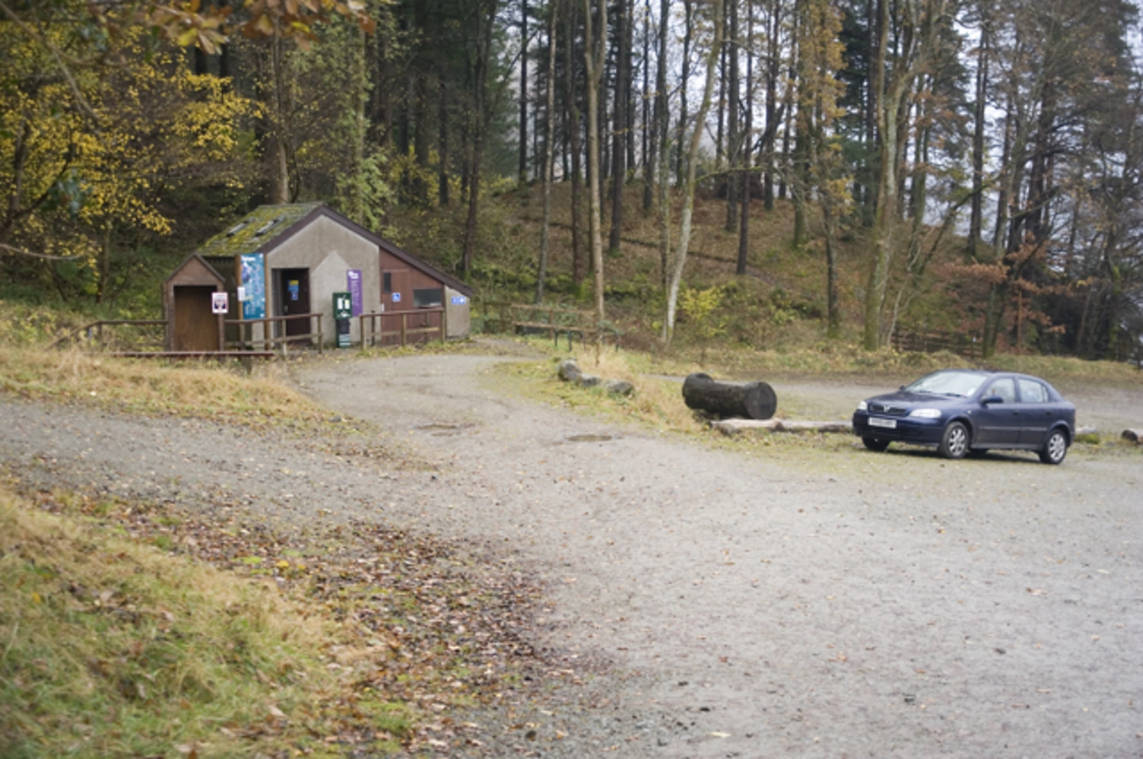 An image depicting the trail Armboth Walk via Thirlmere West Shore and its surrounding area.
