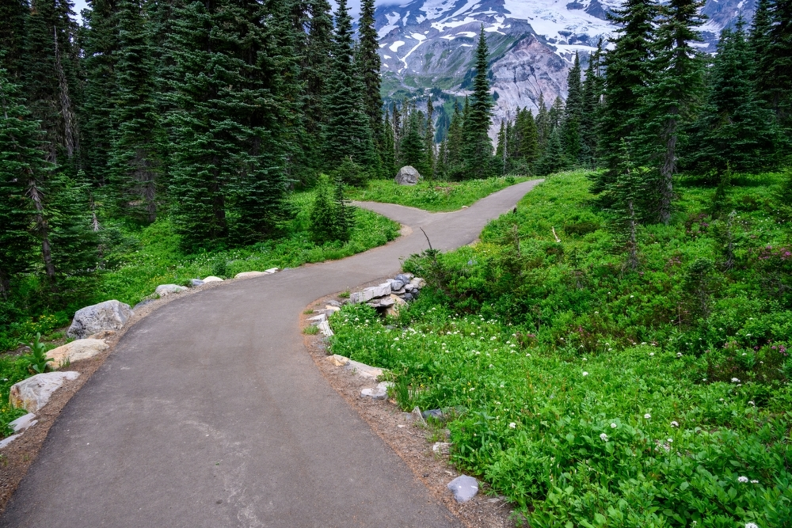 An image depicting the trail Nisqually Vista Trail and its surrounding area.