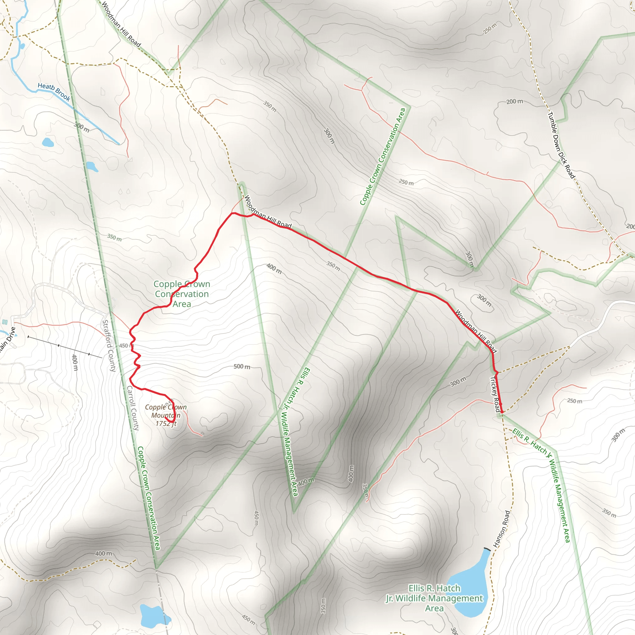 Copple Crown Mountain Trail mobile static map