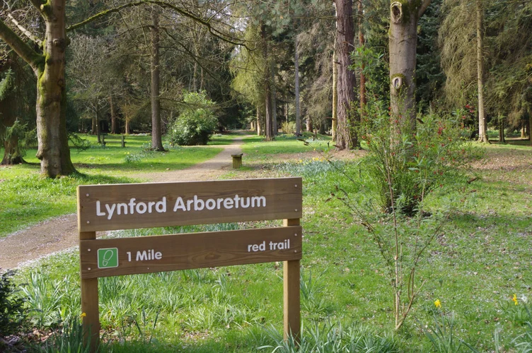 Lynford Arboretum Loop