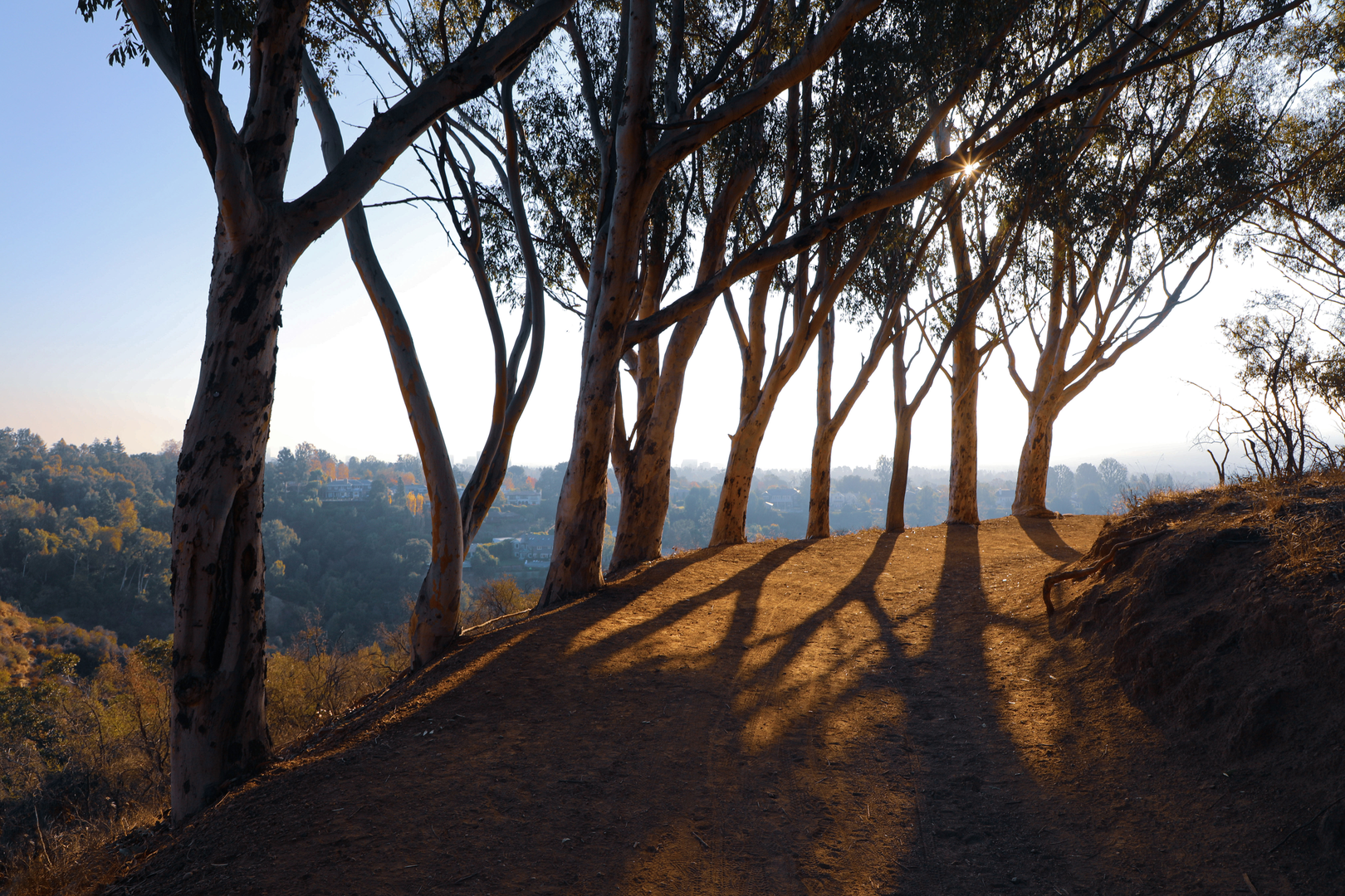 An image depicting the trail Lightning Ridge Nature Trail and its surrounding area.