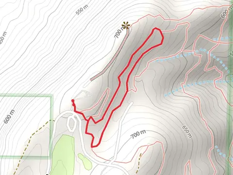 Cheaha Express and Upper Spring Loop Trail