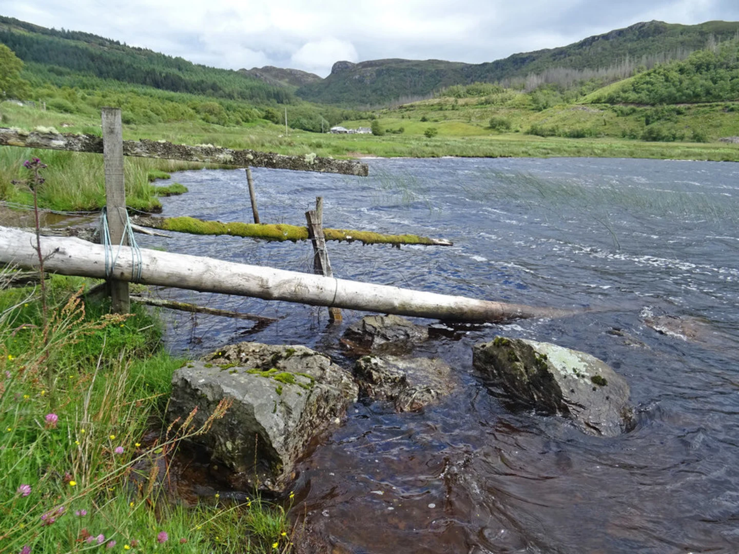 An image depicting the trail Loch Achaidh na h-Inich Walk and its surrounding area.