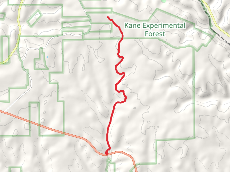Mill Creek Hiking Trail