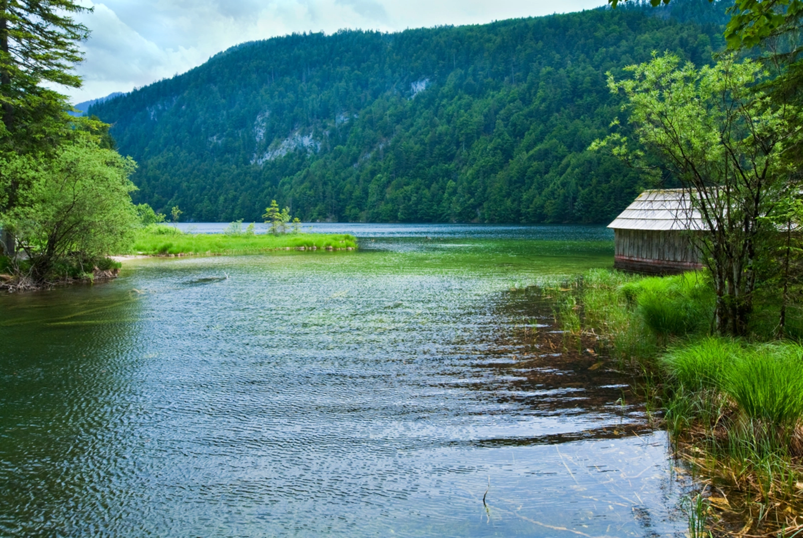 An image depicting the trail Gößl to Lake Toplitz Loop and its surrounding area.
