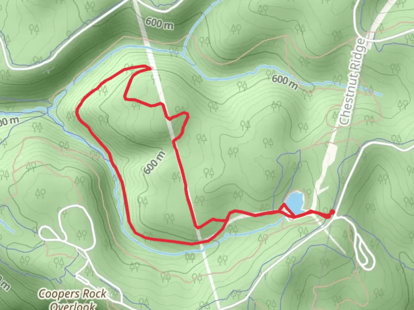 An image depicting the trail Roadside Loop Trail and its surrounding area.