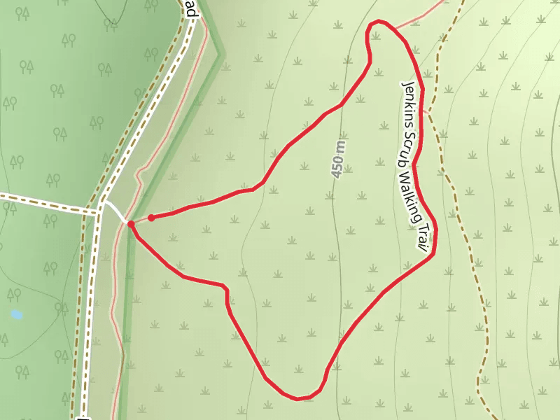 Jenkins Scrub Trail