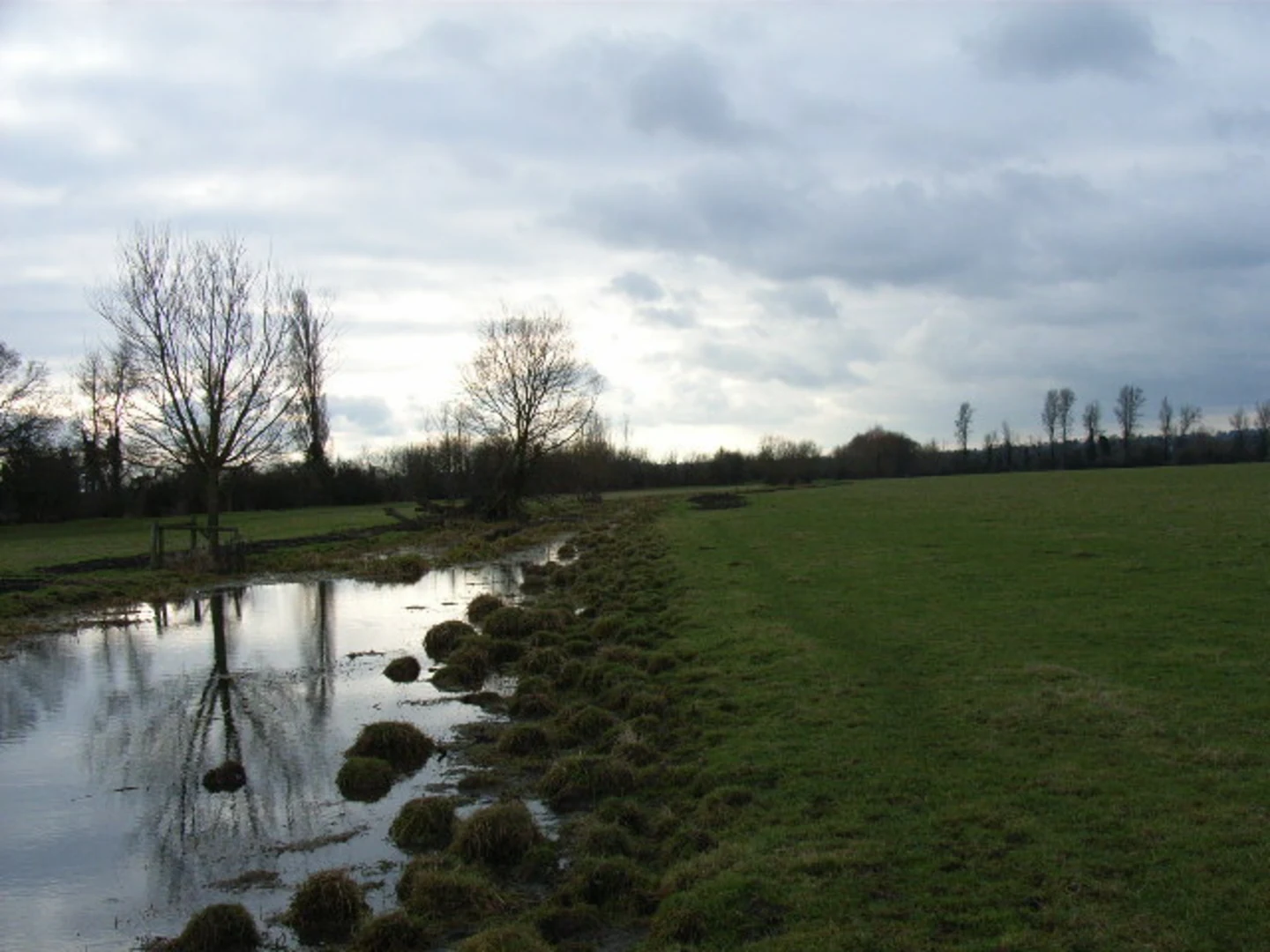 An image depicting the trail Bourne End Loop and its surrounding area.