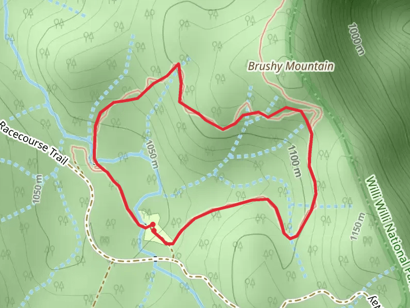 Brushy Mountain Loop Walk