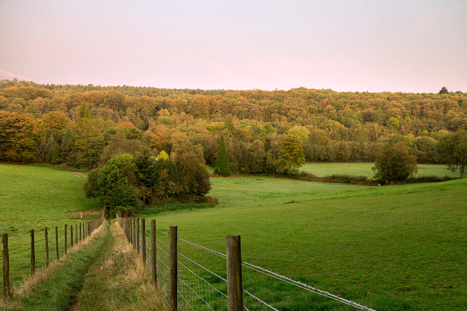 An image depicting the trail Around Surrey Hills from Ranmore Common and its surrounding area.