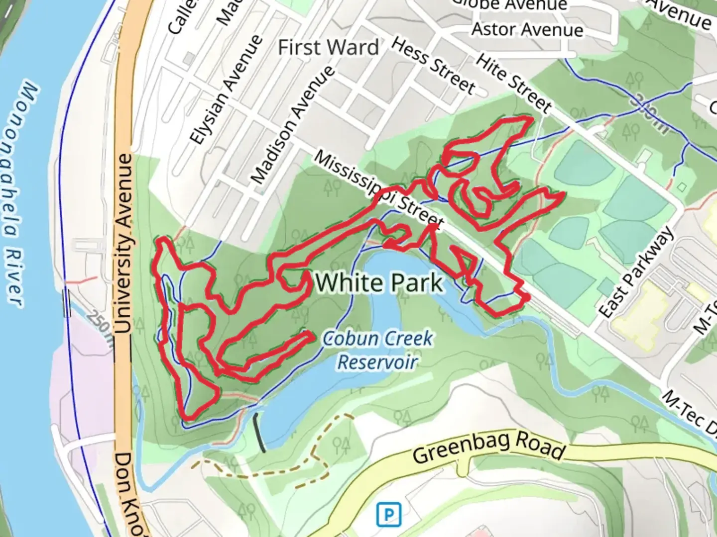 An image depicting the trail Blue Diamond Loop Trail and its surrounding area.