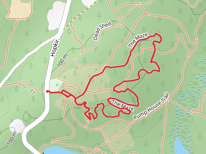 The Maze Loop