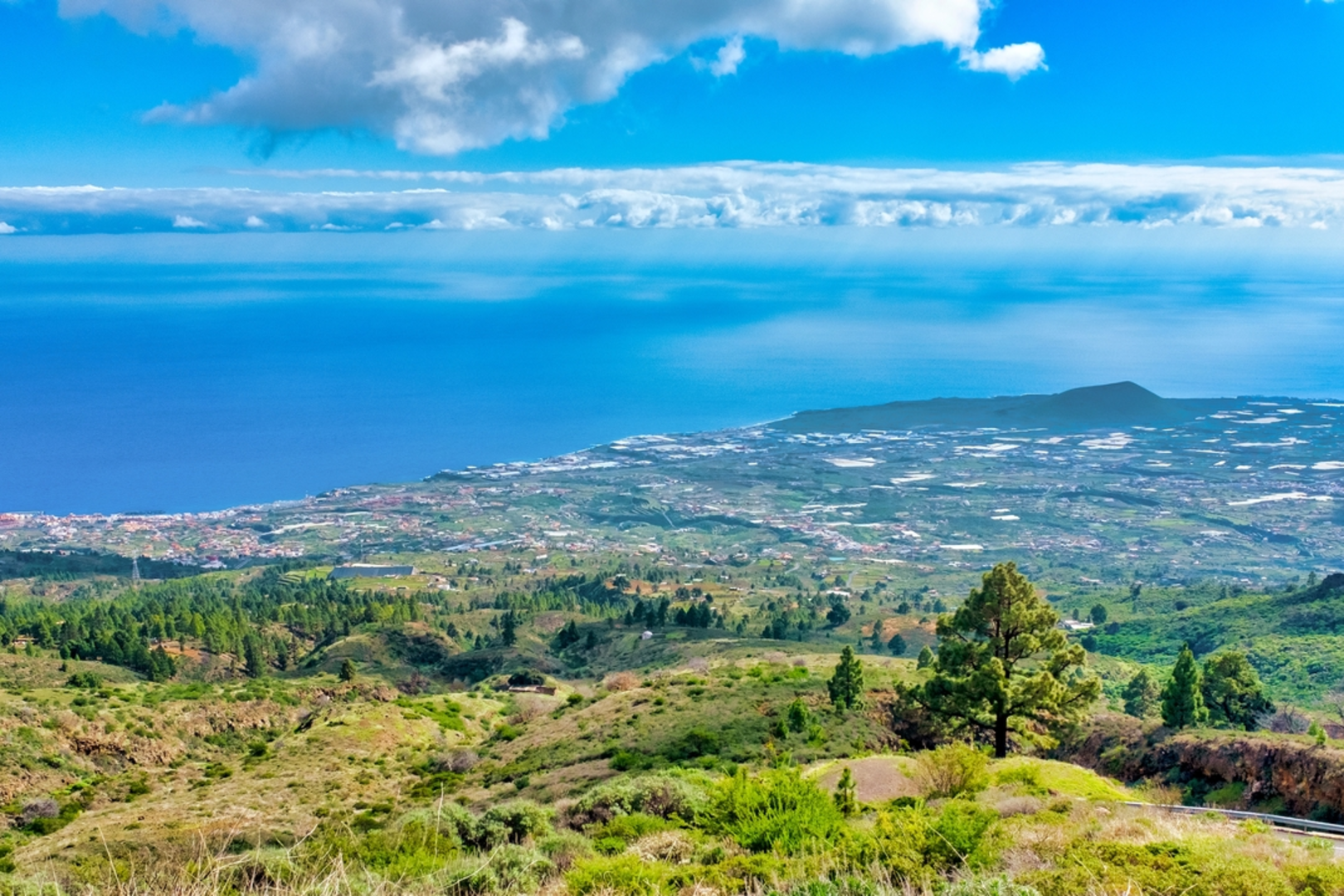 An image depicting the trail Los Brezos SL TF 294 and its surrounding area.