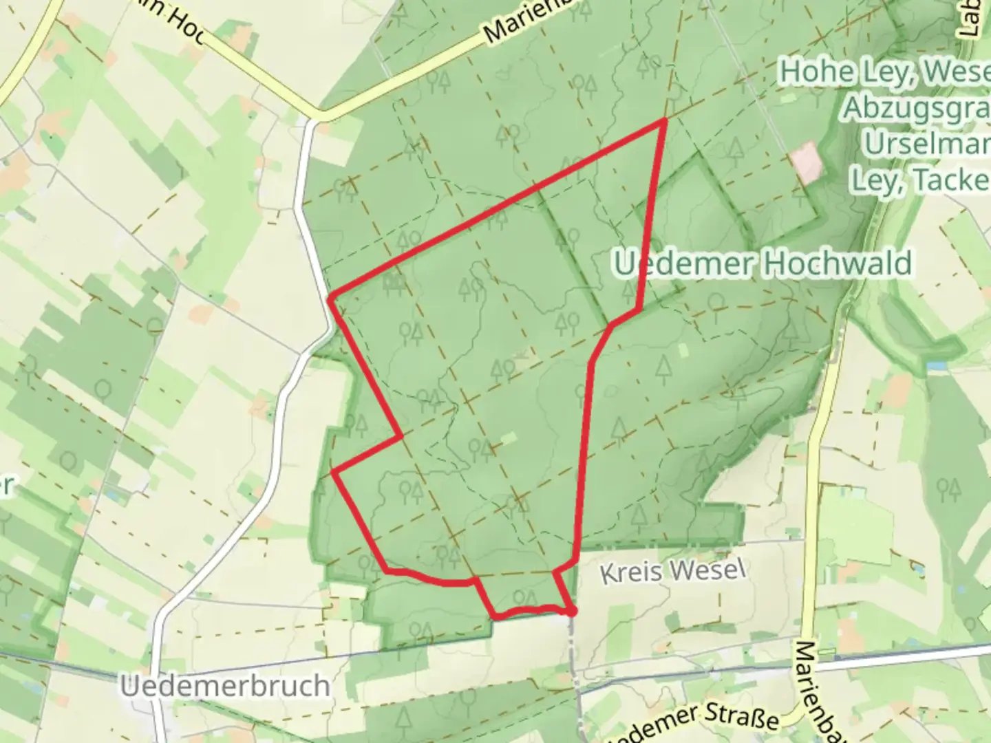 An image depicting the trail Uedemer Hochwald Loop and its surrounding area.