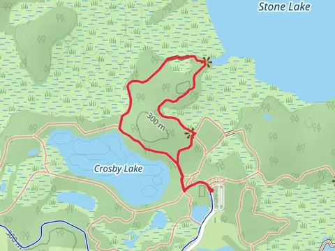 Aspen and Tamarack Loop Trail