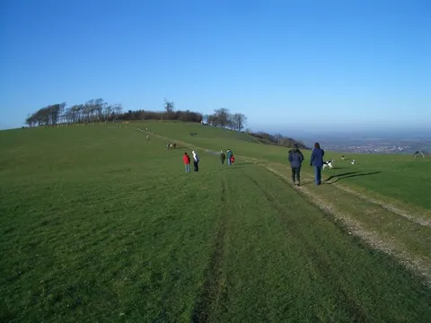Findon Northern Loop