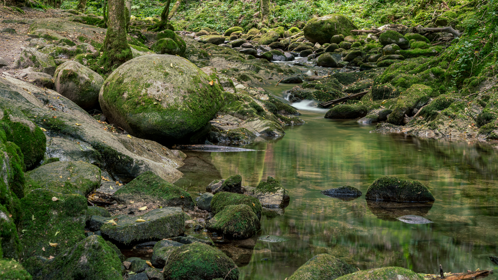 An image depicting the trail Panoramaweg Baden - Baden and its surrounding area.