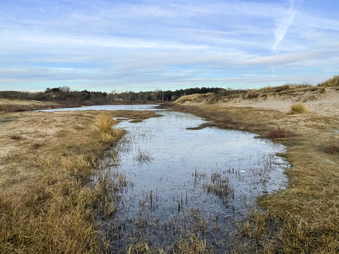 Knolletjesdel, Meyvogele, Nieuwe Plas and Vlaggeduin Loop